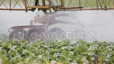 自行式喷雾器在农田中处理卷心菜